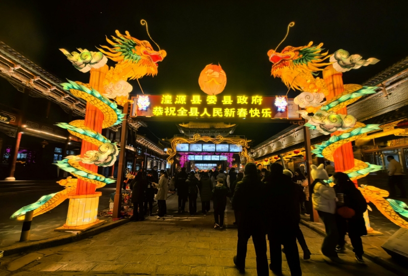 2014青海灯会展示(图1)