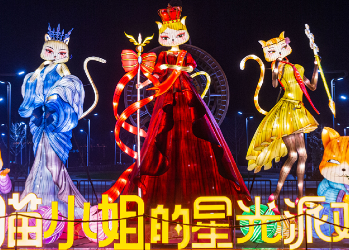 用彩灯来表达情感，构建一个宠爱宠物的梦想